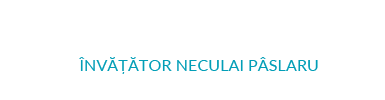 Școala Gimnazială ”Învățător Neculai Pâslaru” Cașin