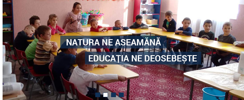 Școala Gimnazială Învățător Neculai Pâslaru Cașin